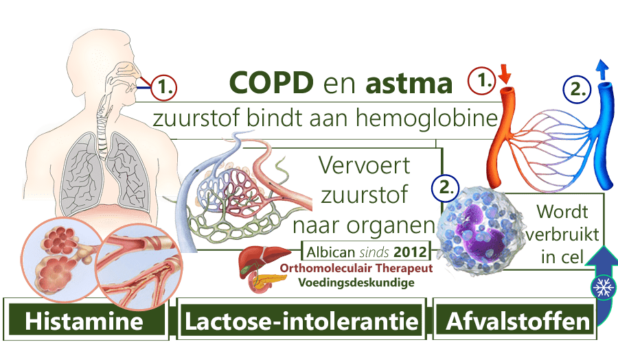 COPD, Astma, hemoglobine, histamine, lactose intolerantie, pre-diabetes, ontsteking, allergische reactie