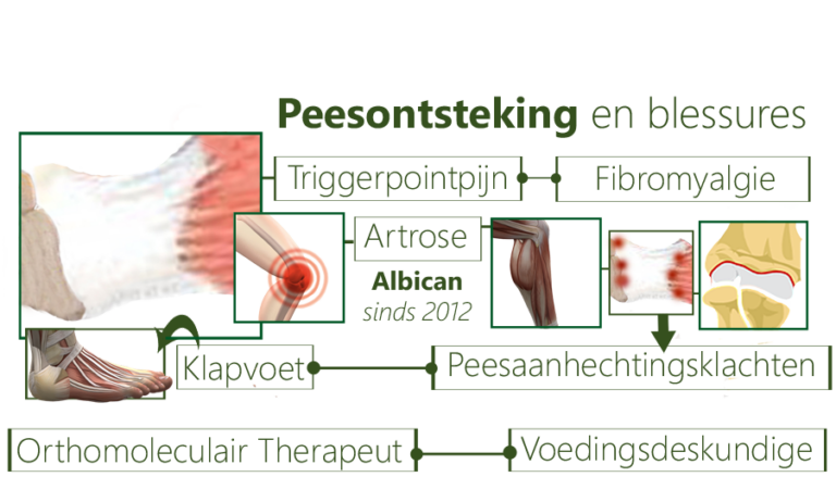 Peesontsteking En Peesblessures Door Verslapping Van De Psoas