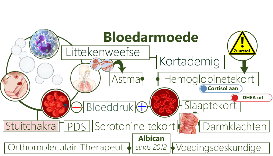 Bloedarmoede, Anemie, zuurstof, eiwitten, neurotransmitters, bloeddruk, longen, lymfevatenstelsel, hemoglobine, vermoeidheid, infecties, blauwe plekken, homocysteïne, melkeiwitten, eiwit, cholesterol, lactose-intolerantie, lactose, koolmonoxidevergiftiging, ijzer, vitamine B12 tekort, bloedonderzoek, hemoglobine, sikkelcelziekte, Moe, hoofdpijn, zweten, hartkloppingen, histamine, reuma, maagzweer, insectenbeten, Lyme, granulomen, endometriose, HPV virus, Reticulocyten, Leverfalen, nierziekten, maagverkleining, darmstoornis, diarree, obstipatie, ferritine, sepsis
