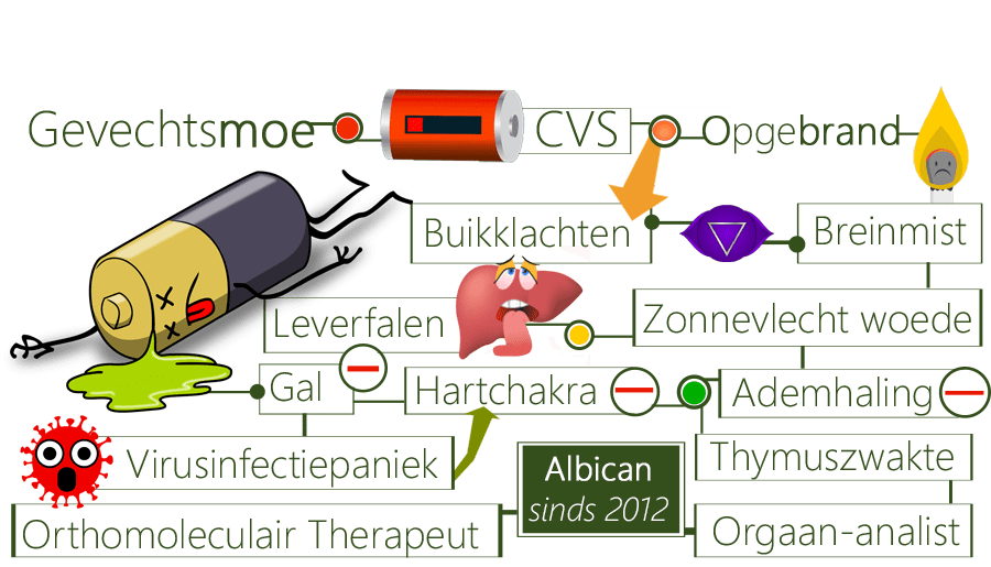 CVS, darmimmuunsysteem, gevechtsmoe, vermoeidheidsklachten, chronisch vermoeidheidssyndroom, darmtransportsysteemschade, werkdruk, burn-outmodeziekte, studiestress, ziekteverwekkers, vermoeidheid, suikerverslaving, darmmalabsorptie, ophoesten, SIBO, longflora, CRP-test, BSE-test, ontstekingsinformatie, hyperventilatie, burn-out, maagzuuroprispingen, thymuszwakte, T-cellen, thymusvermoeidheid, bacteriebroedplaats, glutathionreductase, antioxidanten, ontvette, vervette, auto-immuun-encefalitis, breinmist, hersenmist, sepsisvergiftiging, obstipatie, voedselvergiftiging, ME, bijniercrisis, bijnieruitputting, stresssituatie, ijzertekort, hemoglobinetekort, alarmfases, stressdiabetes, bijnierstressreactie, uitputtingsfase, hypertensie, migraine, angst, slapeloosheid, levensritme, behandelmethode, meridianentherapie, meridianenanalyse, wilskrachtvermindering, voetproblemen, bloedsomloopprobleem, leververvuiling, bloedarmoede