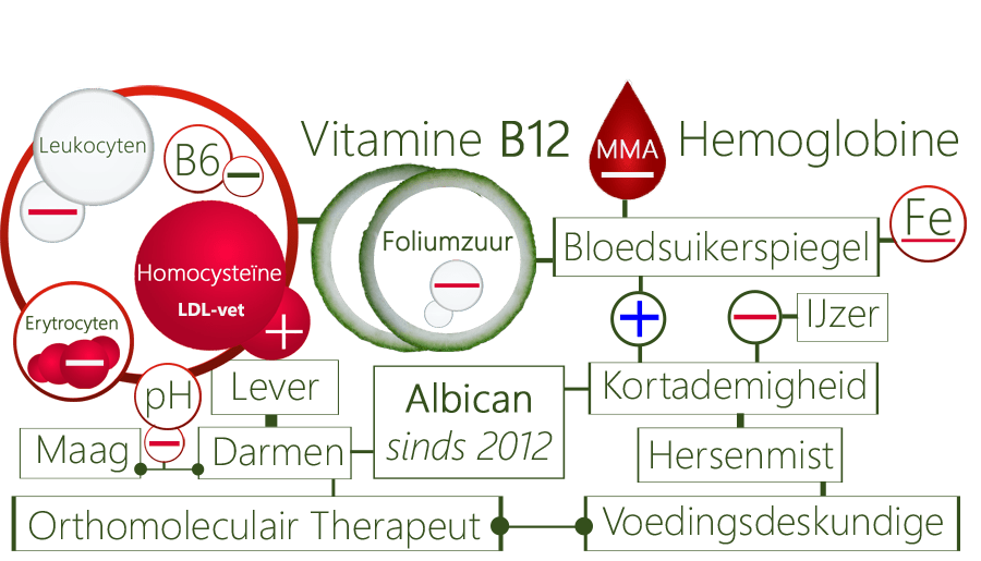 Vitamine B12 deficiëntie, bloedinfectie, moeheid, foliumzuurstatusverlaging, hypertensiestress, burn-out, kortademigheid, maagzweren, maagreflux, homocysteïne-verhoging, PDS, bloedarmoede, vermoeidheid, thymuskloppingen, koude ledematen, beriberistoornis, beriberitekort, darmspierzwakte, middenrifspierverzwakking, bijniercrisis, spierhongerklop, thiamine-deficiëntie, osteitis-bubis, wervelverkromming, scoliose, riboflavinetekort, ijzeronttrekking, bleekzucht, kloofjes, zweertjes, tongontsteking, ménière syndroom, oorinfectie, oorontsteking, acne, puisten, galbultjes, galspugen, gewrichtsontsteking, wondgenezing, mondinfecties, struma, CVS, schildkliervergroting, hoestimpulsen, gejaagdheid, longinfecties, fibromyalgie, MMA-bloedtest, MMA-urinetest, HPV, EPV, candida, SIBO, gordelroos, antidepressiva, bloeddrukafname, wortelchakra, huidontsteking, leverfalen