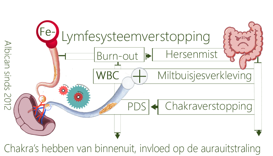 Lymfesysteemverstopping, chakra, miltbuisjesverstopping, chakra's, miltwielen, lymfeklierwielen, bloed, lymfeklierwielverstopping, miltbuisjesbloedophoping, bloeduitdroging, emotionele nood, erytrocyten, leukocyten, trombocyten, leukocytentekort, griepaanval, erytrocytentekort, bloedarmoede, trombocytentekort, bloedstollingsprobleem, vochtafval, cytokineafgifte, lymfocyten, LDL-vetten, cytokinenafscheiding, cytokineafgifte, ettergezwel, vetstofwisselingverstoring, galbuisjesafknelling, cholesterolplaque, lipidenverteringszwakte, ijzerrouteverstoring, hemoglobine, zuurstof, zweetaanvallen, glucoseopstapeling, insulinemoeheid, diabetes, RAAS-systeem, ziekteverwekkers, suikerplaque, EBV, coronavirus, schildkliertraagheid, cytokinenstorm, leveroxidatie, geelzucht, plakpoep, vochttekort, obstipatie, sepsisgevoelig, triggerpoints, artritis, homocysteïne, metabool syndroom, lymfeknopen-vreetcellen, T-cellen, retrovirus, thymuszwakte, ontsteking, lymfekliervangnet, Pfeiffer, stuitchakra, navelchakra, zonnevlechtzwakte, hartchakra zwakte, kindertrauma, keelchakra blokkade, breinmist, ongelukkig, hersendiabetes, geestelijke krachtvermindering, kruinwijsheid, kruinbronstress