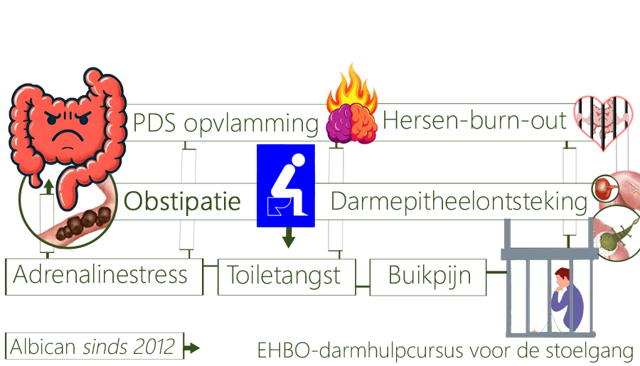 Obstipatie, encefalitis, gedachtenruis, hersensepsis, darmwantontstekingen, anuskloofjes, darmepitheelontsteking, laxeermiddelen, EHBO-darmhulpcursus, vochtgebrek, MDL-arts, spierkrachtverlies, granulomen, gewrichtssarcoïdose, granuloomophoping, darmwandgranulomen, herpesvirussen, anemie, gewichtstoename, malabsorptiesyndroom, hersenflora, darmflora, darmmicrobioom, helicobacter pylori, maagzuurtekort, maagreflux, insulinemoeheid, adrenalineverhoging, jodiumtekort, schildklierhormoonvermindering, lipidenverteringzwakte, leververvuiling, PDS, slaapwaakritmeverstoring, navelchakra zwakte, kinderpijn, familieruzies, bindweefselziekte, RBS, bekkenpijn, geboortelittekenverdriet, navelonzekerheid, hoog gevoeligheid, zielenspier, klierkoorts, infecties, SIBO, ziekte van Pfeiffer, huiduitslag, vermoeidheid, Epstein barr virus, bewegingsbeperkingen, constipatie